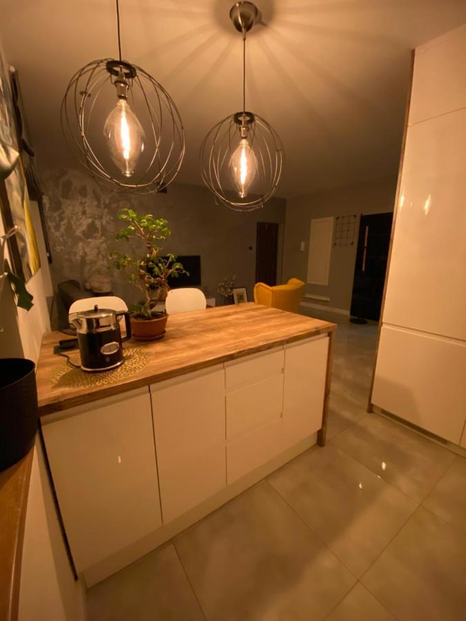Apartament Centrum- Art&Design โคนิน ภายนอก รูปภาพ